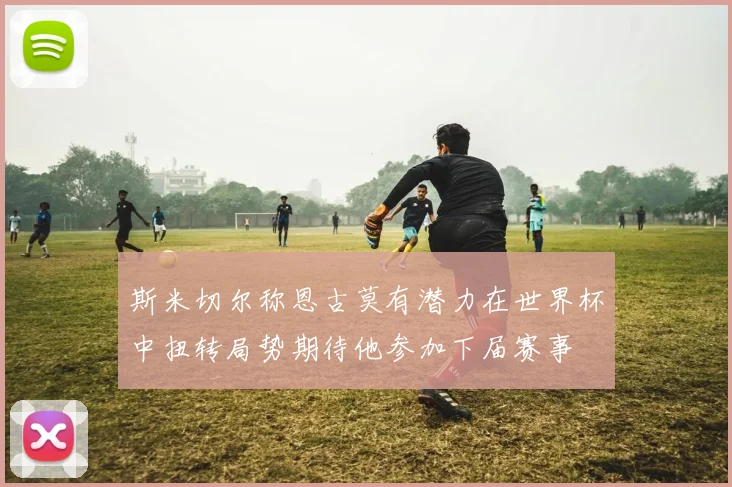 斯米切尔称恩古莫有潜力在世界杯中扭转局势期待他参加下届赛事